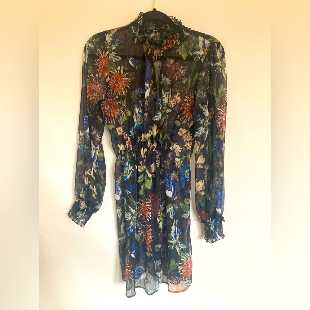 Zara Long Sleeve Floral Sheer Dress